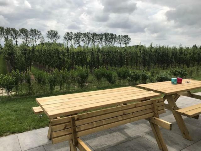 Hoeve Oude Tol Zuidzande Extérieur photo